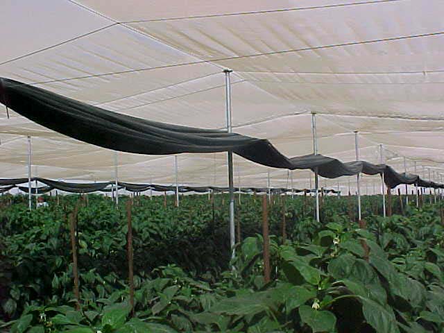 A20CASA20SOMBRA20%282%29.jpg