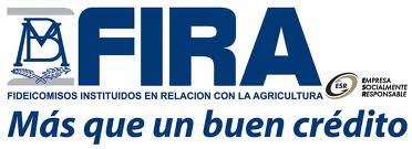 Fira.jpg