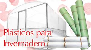 Plastico.jpg