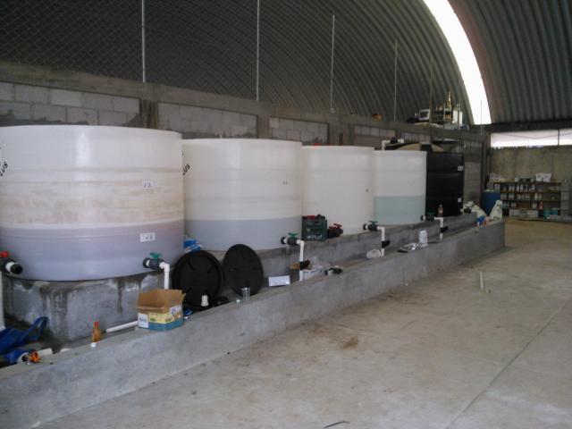WP_000374.jpg